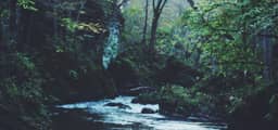 nKjWC